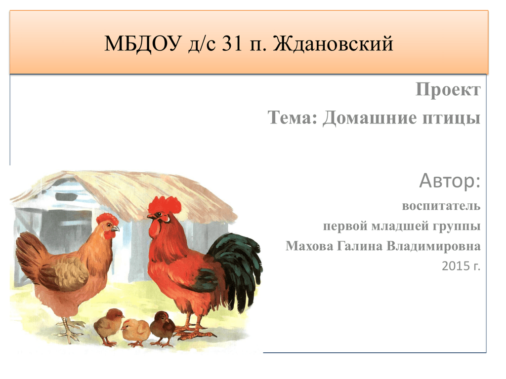 Тематическая неделя домашние птицы. Тема Дели домашние птицы. Лексическая тема домашние птицы младшая группа. Тема недели домашние птицы. Лексическая тема на тему домашние птицы.