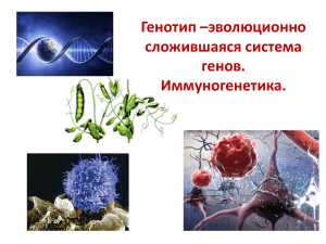 Лекция по биологии № 4 Иммуногенетика