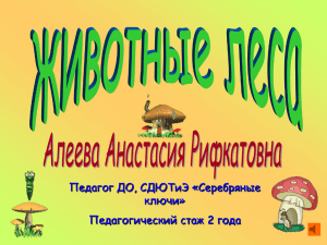 Педагог ДО, СДЮТиЭ «Серебряные ключи» Педагогический стаж 2 года