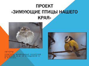Исследовательский проект «Зимующие птицы нашего края»