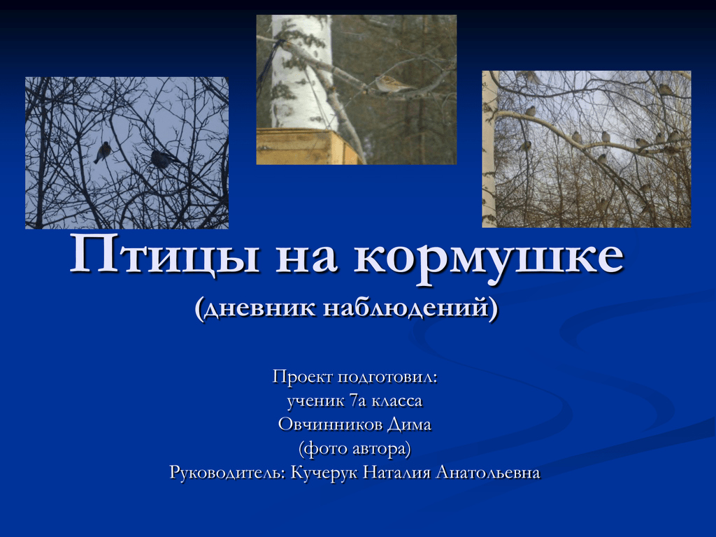 Календарь наблюдения за птицами. Дневник наблюдения за птицами. Птицы для дневника наблюдений. Дневник наблюдений за кормушкой. Дневник наблюдения за птицами зимой.