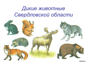 Дикие животные Свердловской области