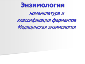 Энзимология номенклатура и классификация ферментов Медицинская энзимология