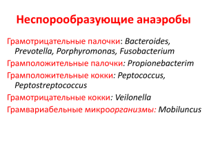 Бактероиды