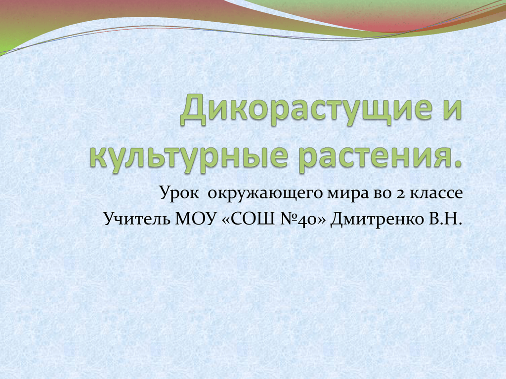 Окружающий мир 2 класс дикорастущие и культурные. Культурные растения 2 класс. Окружающий мир 2 класс.я Дмитренко. Из каких культурных растений пекут хлеб окружающий мир 2 класс ответ.