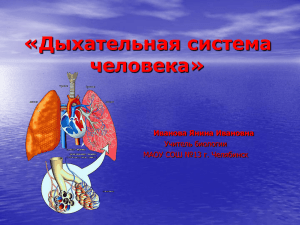 «Дыхательная система человека» Иванова Янина Ивановна Учитель биологии