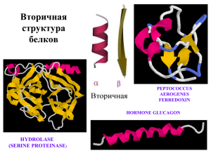 Вторичная структура белков HYDROLASE