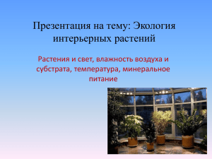 Презентация на тему: Экология интерьерных растений Растения и свет, влажность воздуха и