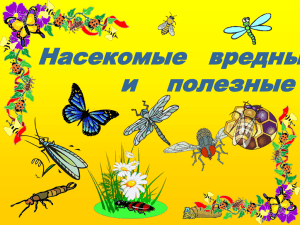 " Вредные и полезные насекомые" презентация PowePoint