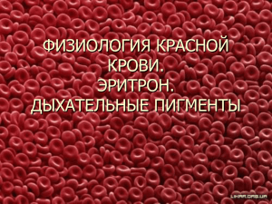 01 Физиология красной крови_эритрон_дыхательные пигменты