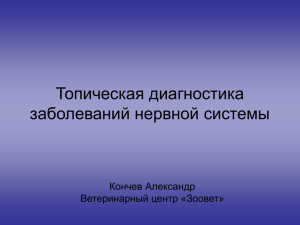 Топическая диагностика заболеваний нервной системы