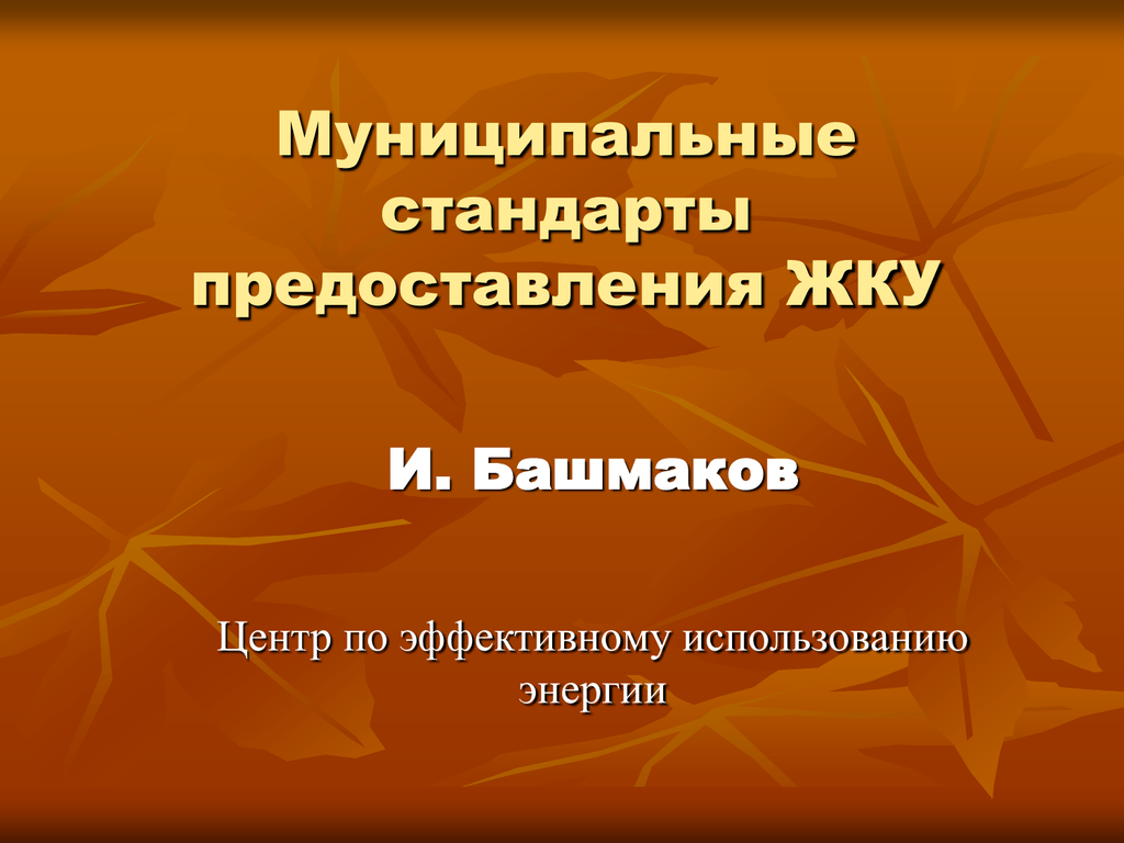 Муниципальный стандарт