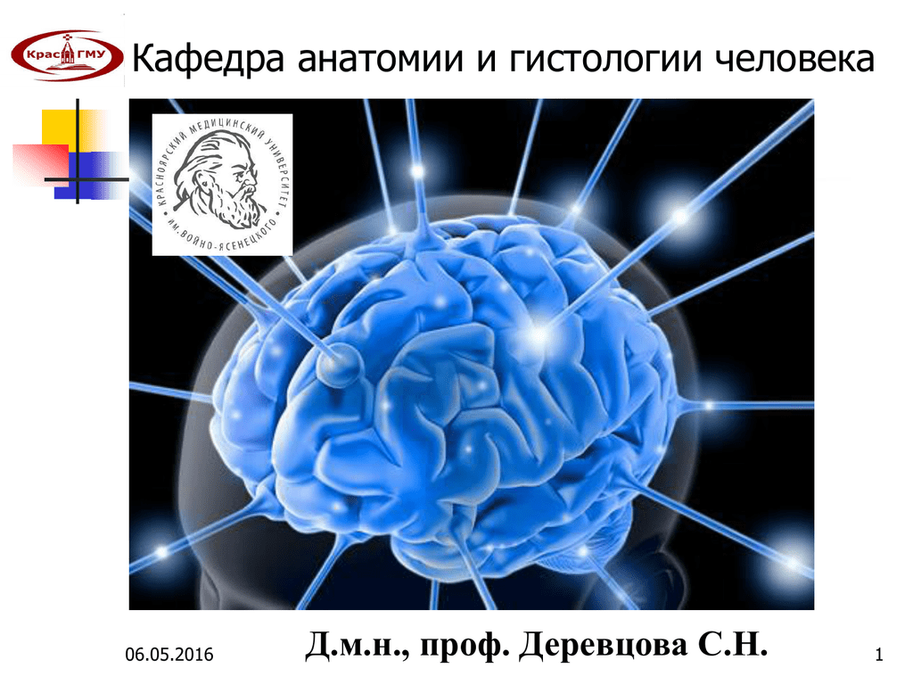 Мозги конечно. Ядерные центры ЦНС. Лайонс цифровая обработка сигналов. Энграмма ЦНС. Книга ЦНС.