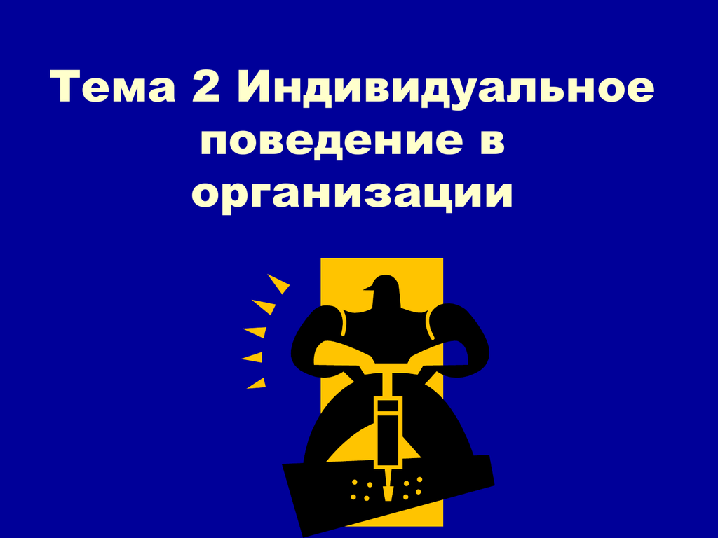 Индивидуальное поведение. Индивидуальное поведение в организации.