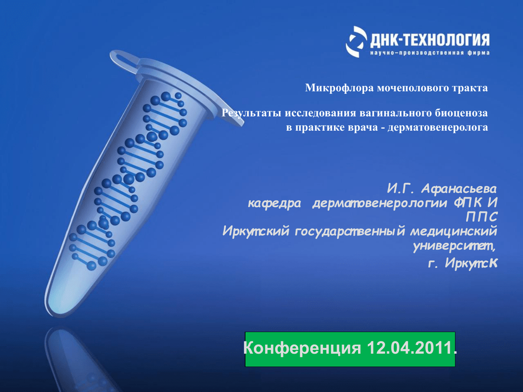 Микрофлора мочеполовой системы презентация