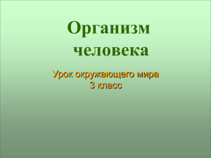 organizm_cheloveka (2.54мб)