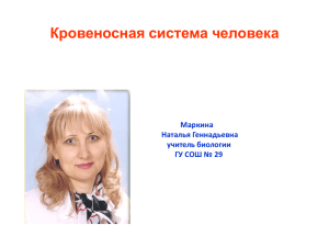 Кровеносная система человека Маркина Наталья Геннадьевна учитель биологии