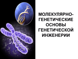 Генная инженерия ПВП и целевых продуктов