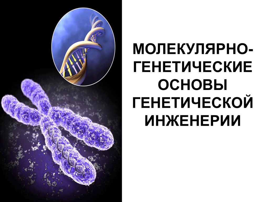 Генетические основы. Молекулярно генетические основы. Основы молекулярной генетики. Молекулярно-генетические основы генетической инженерии. Генетика и генная инженерия.