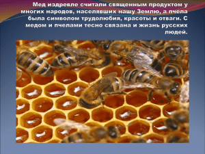 Мёд - это продукт, создаваемый пчелами в результате процесса