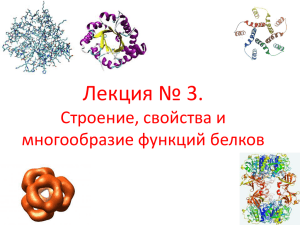 Лекция № 3. Строение, свойства и многообразие функций белков