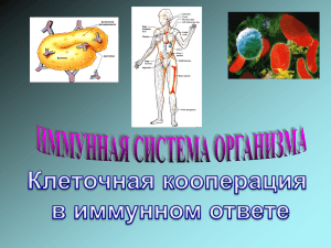 08 Имунная система организма