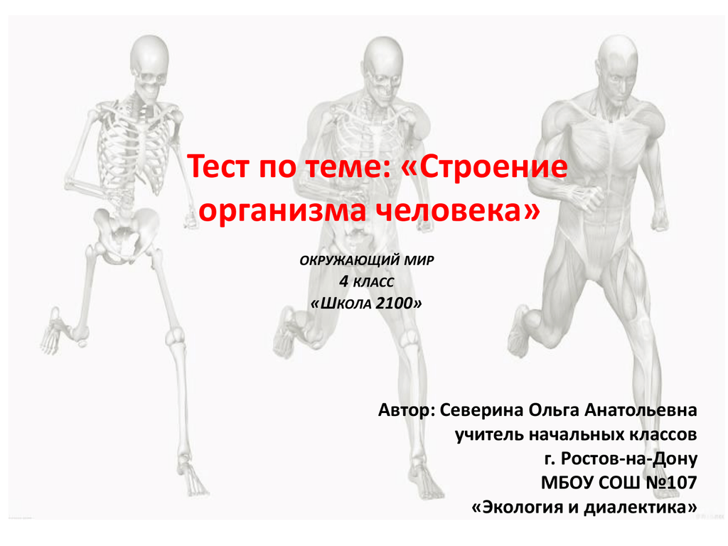 Контрольная работа по теме строение. Тест организм человека. Тест по теме организм человека. Тесты на тему строение человека. Тест по теме тело человека.