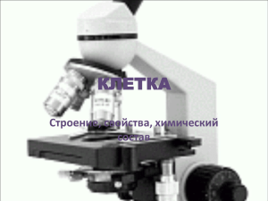 kletka-8