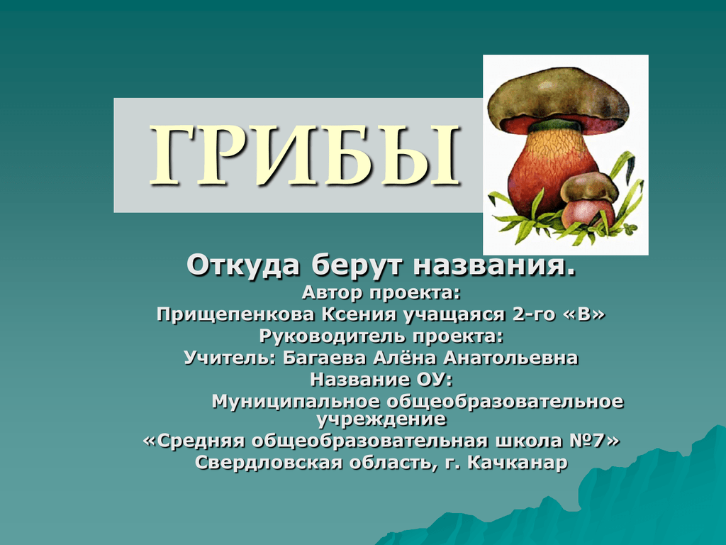 Названием беру. Откуда взялись грибы. Откуда берутся грибы. Откуда берется грибница. Назовите известные вам грибы где они обитают.