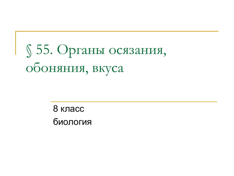 Органы слуха обоняния осязания вкуса 3 класс презентация