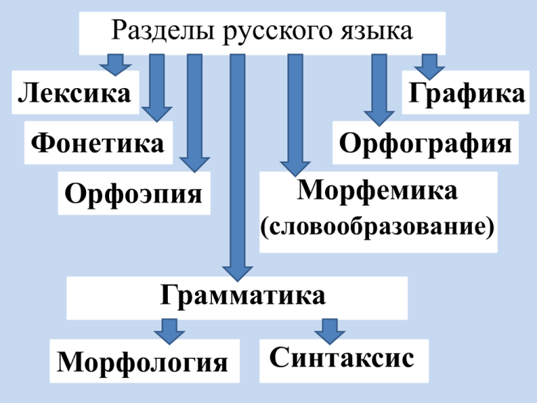 Сложный план лексика