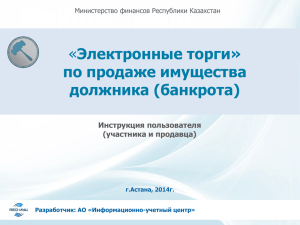 Электронные торги» по продаже имущества должника (банкрота) Инструкция пользователя