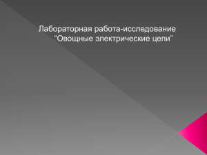 Лабораторная работа-исследование “Овощные электрические цепи”