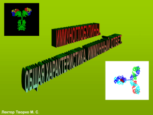 Антитела, структура. Классы иммуноглоб
