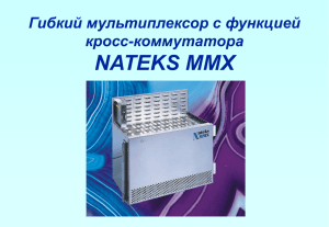 NATEKS MMX