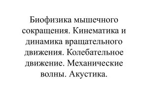 Биофизика мышечного сокращения. Кинематика и динами