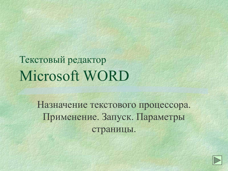 Что такое текстовый процессор