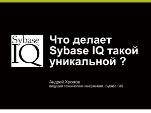 Что делает такой Sybase IQ уникальной ?