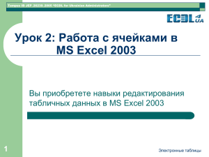 Лекция2. Работа с ячейками в MS Excel 2003.