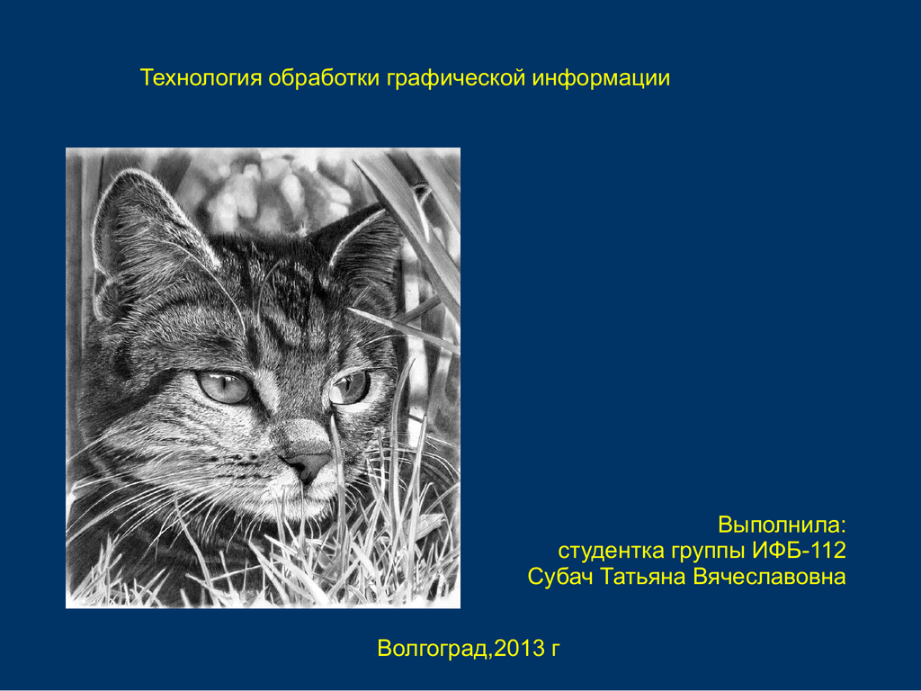 Презентация на тему технология обработки графической информации