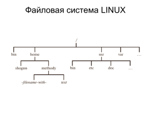 Файловая система LINUX