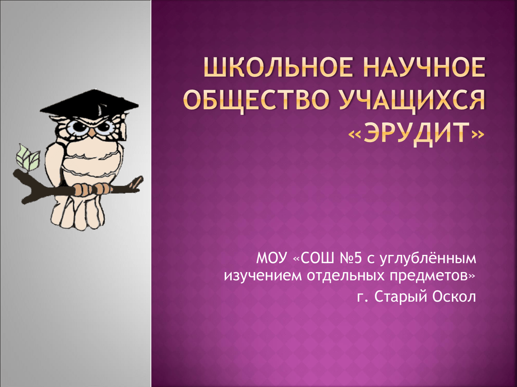 Общество учащихся. Школьное научное общество учащихся. Школьное научное общество учащихся презентация. Научное общество Эрудит в школе. Как назвать школьное научное общество.