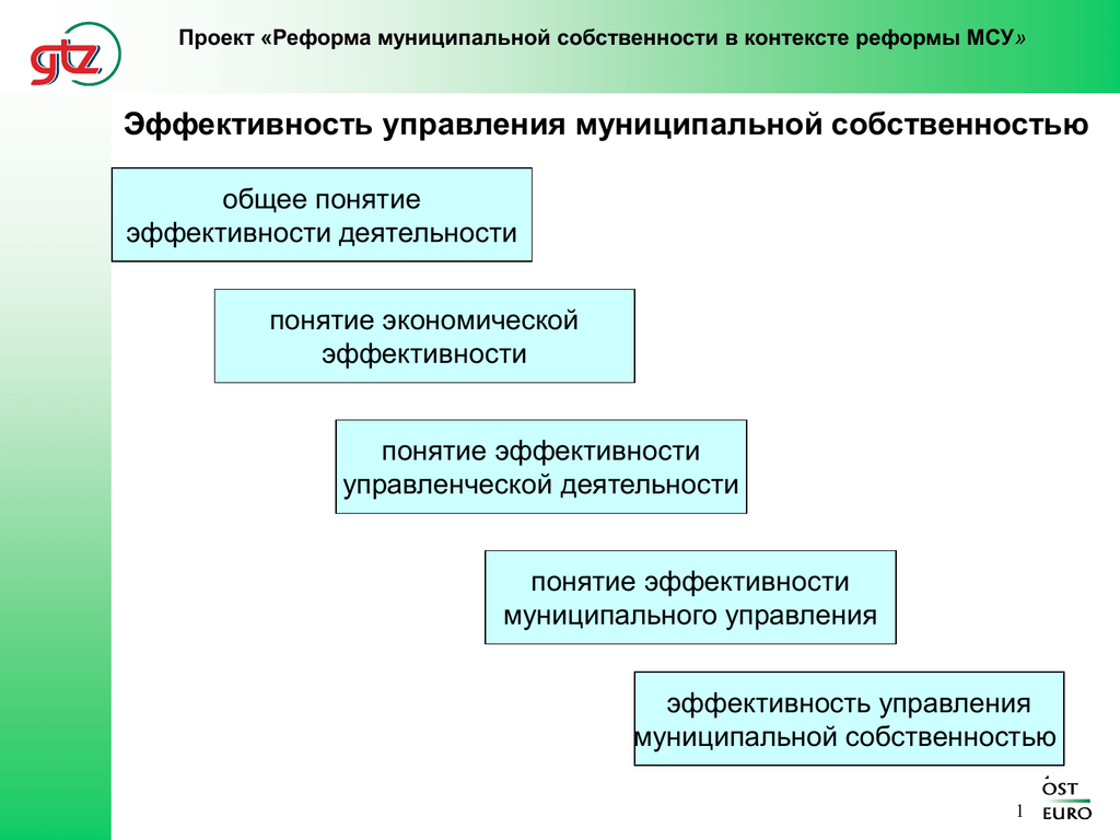 Эффективность муниципального управления презентация