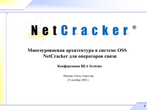 NetCracker 5.0
