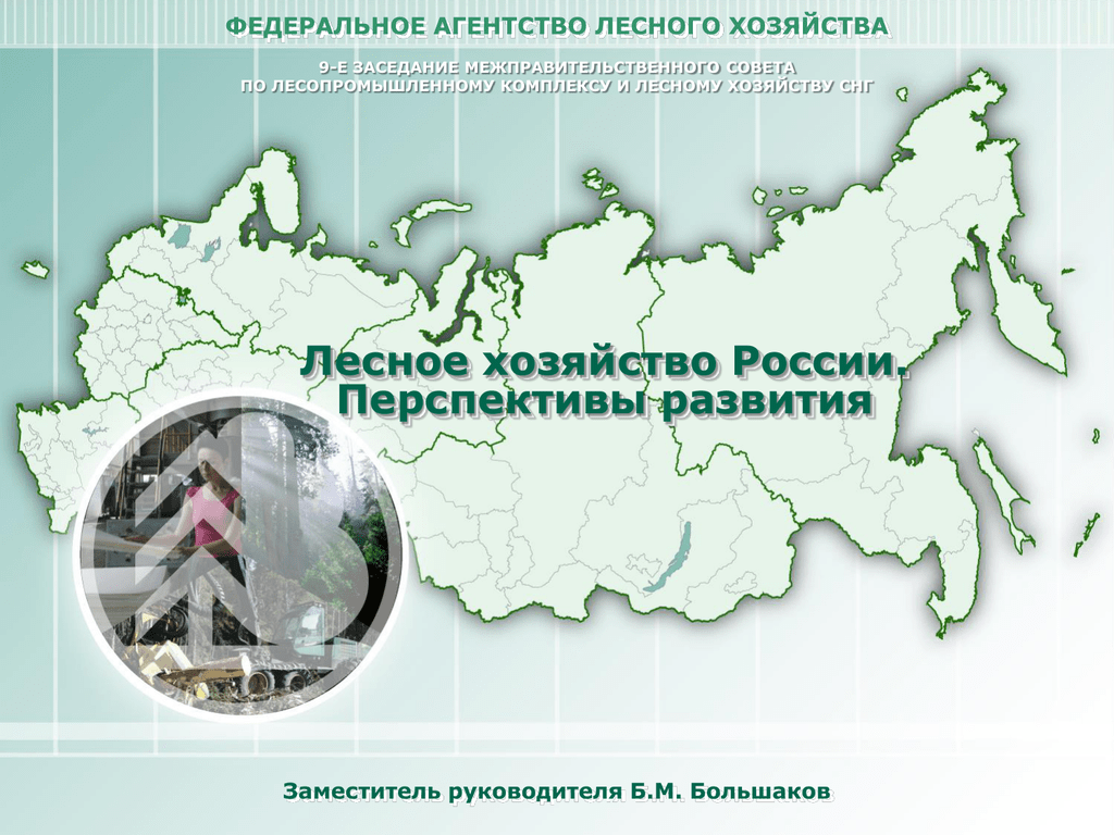 Проблемы и перспективы лесного комплекса. Лесное хозяйство России презентация. Развитие лесного хозяйства. Лесопромышленный комплекс России карта. Крупные лесопромышленные комплексы.