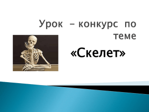 «Скелет»