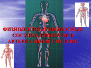 10 Физиология сосудов Кровоток в артериальной системе