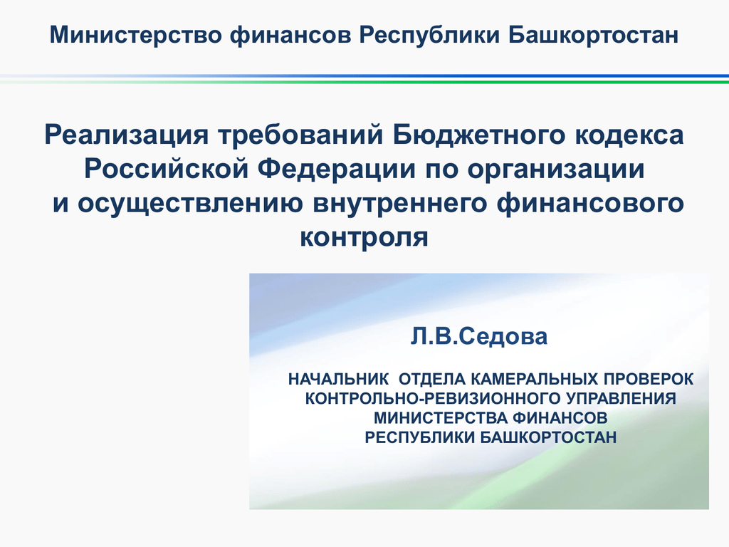 Требования бюджет. Контроль руководителя Министерства. Профессиональный стандарт начальник контрольно-ревизионного отдела