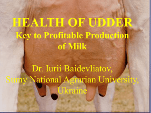 HEALTH OF UDDER Key to Profitable Production of Milk Dr. Iurii Baidevliatov,