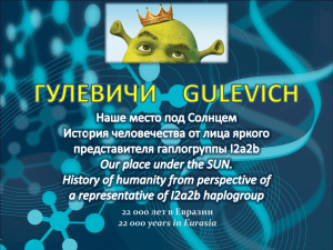 Презентация проекта «Gulevich Club».